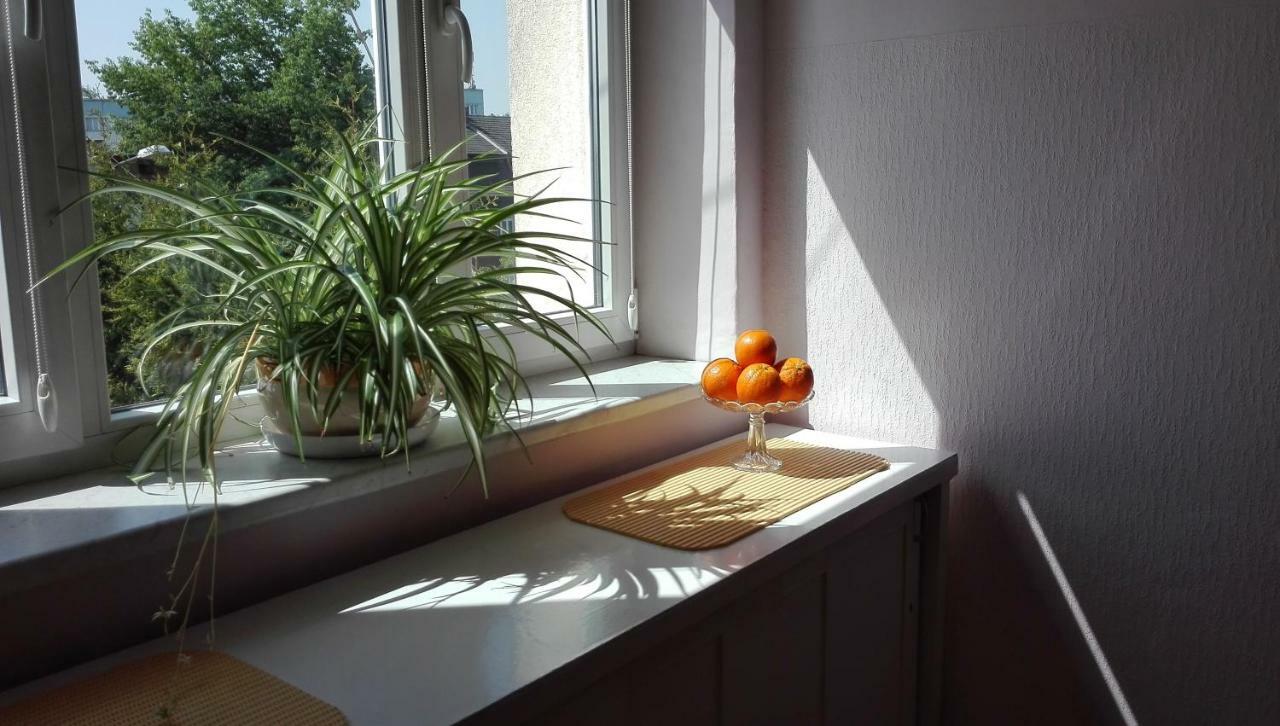 Studio Krakowski Styl Exteriör bild